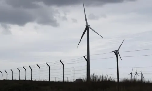 Applications of Wind Wall Fencing in Rajasthan